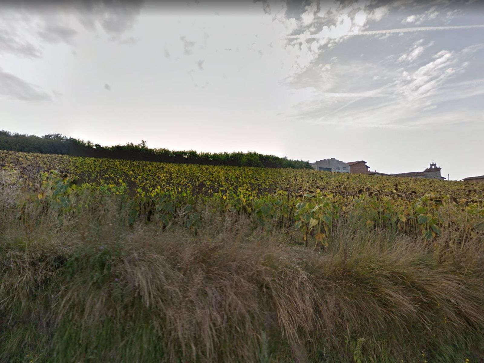 Land for sale in Condado de Treviño