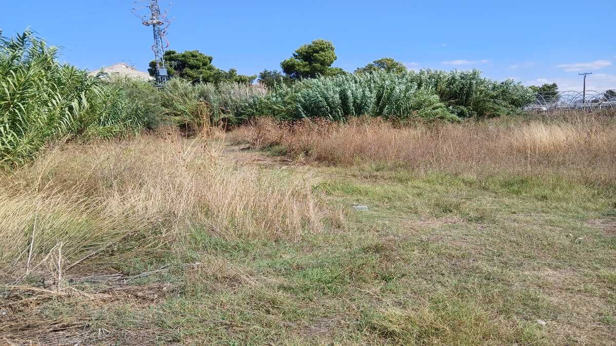 Residential for sale in Juneda