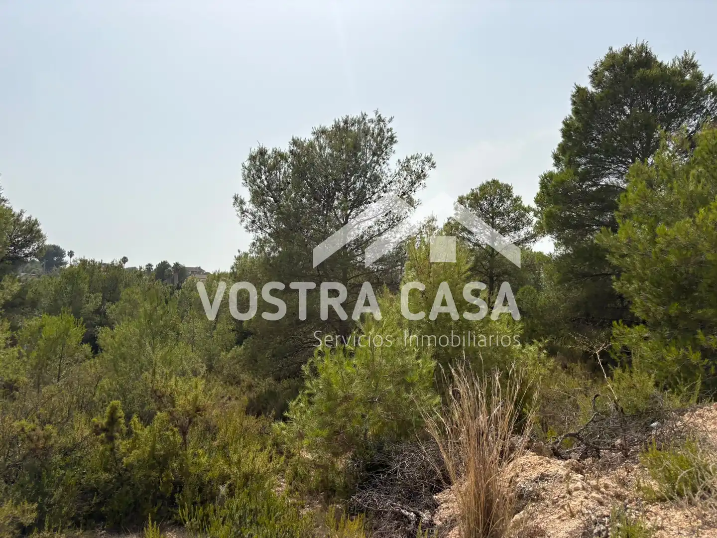 Terreno en venta en Chiva