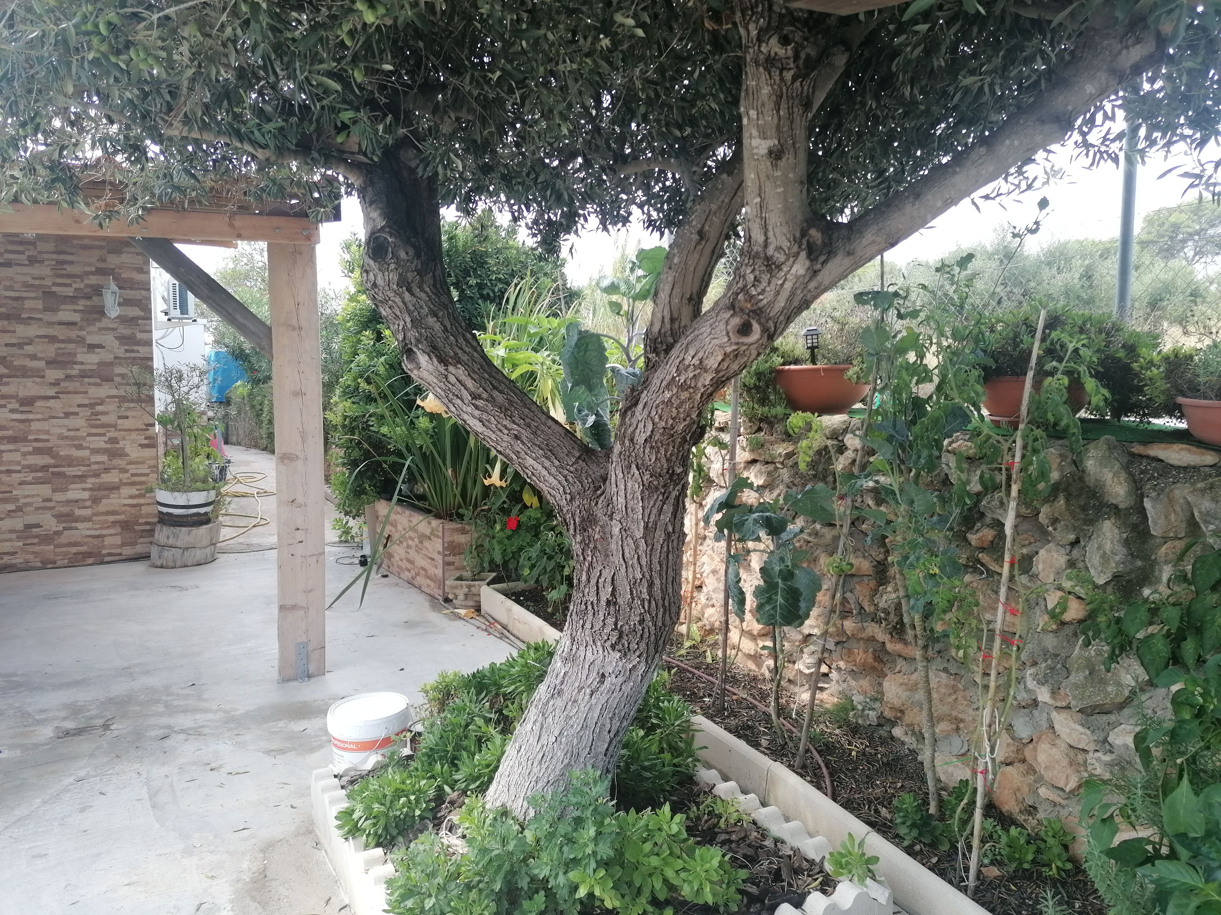Garden of House or chalet for sale in Cubelles  with Air Conditioner, Heating and Private garden