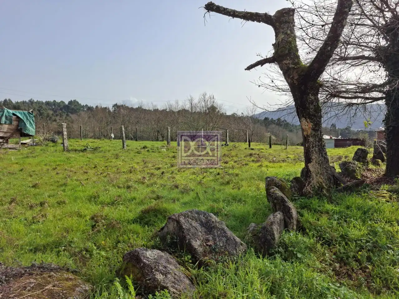 Lands and plots for sale in Mondariz, imagen 4