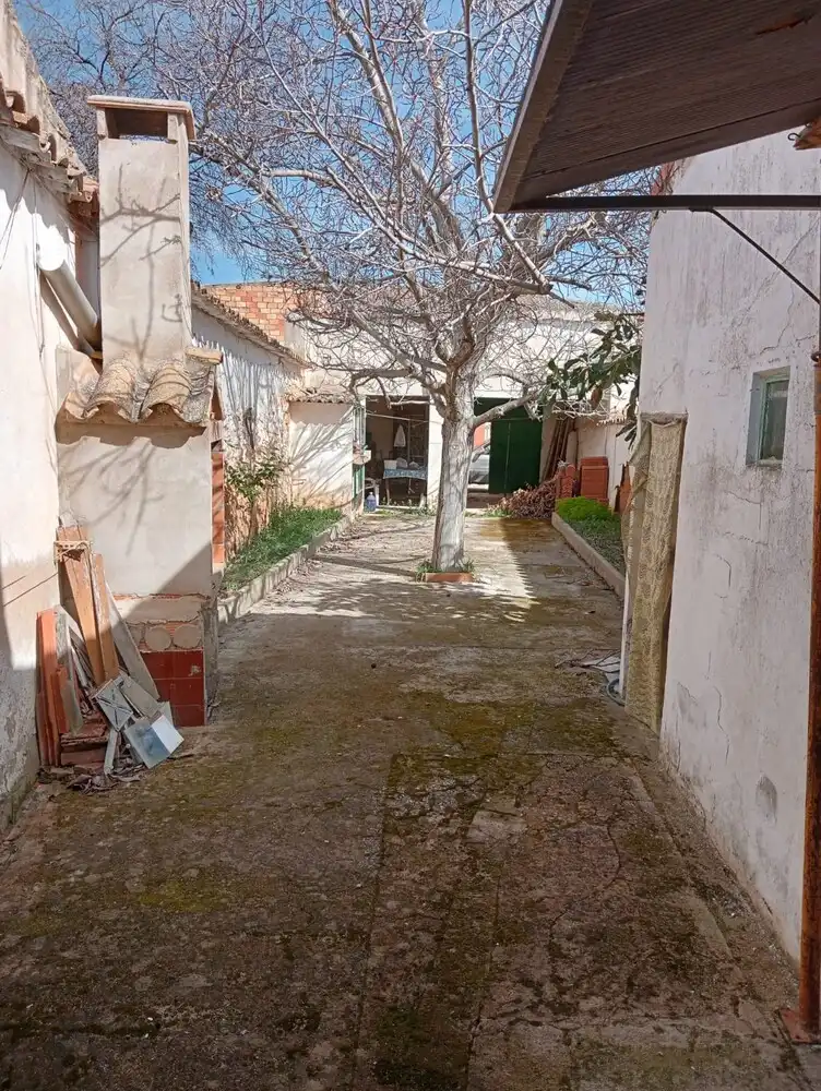 Vista exterior de Finca rústica en venta en La Pesquera 
