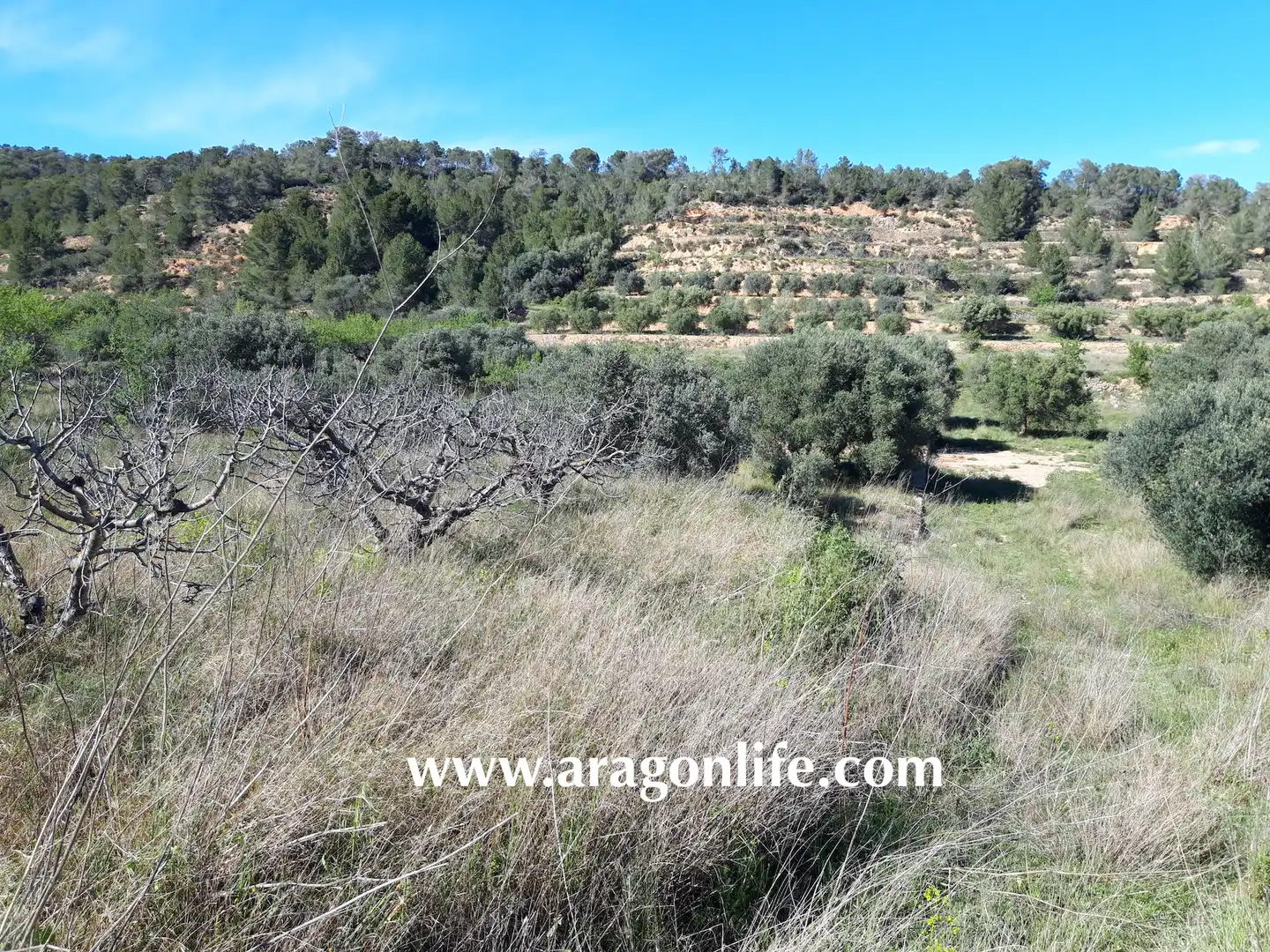 Country homes for sale in El Pinell de Brai