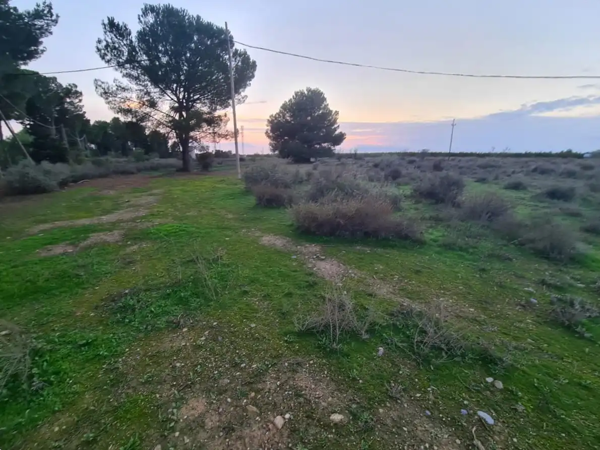 Terreny residencial en venda a B Cerdera Alta, 7