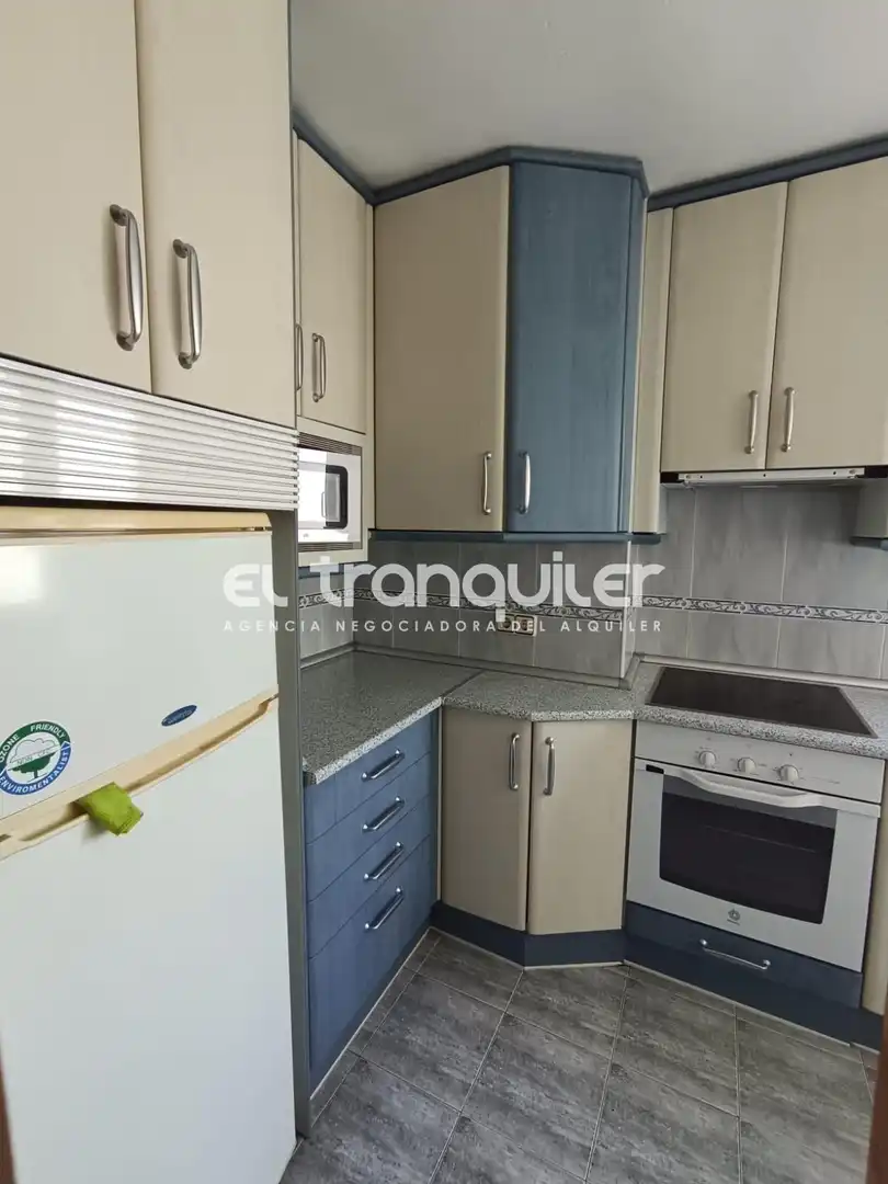 Kitchen of Flat for rent in Madrid  with Terrace and Furnished