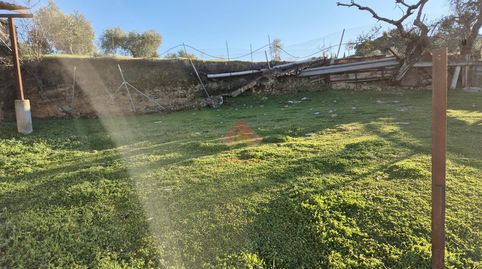 FINCA CON MÚLTIPLES POSIBILIDADES Y EXCELENTE UBICACIÓN!!, imatge 5
