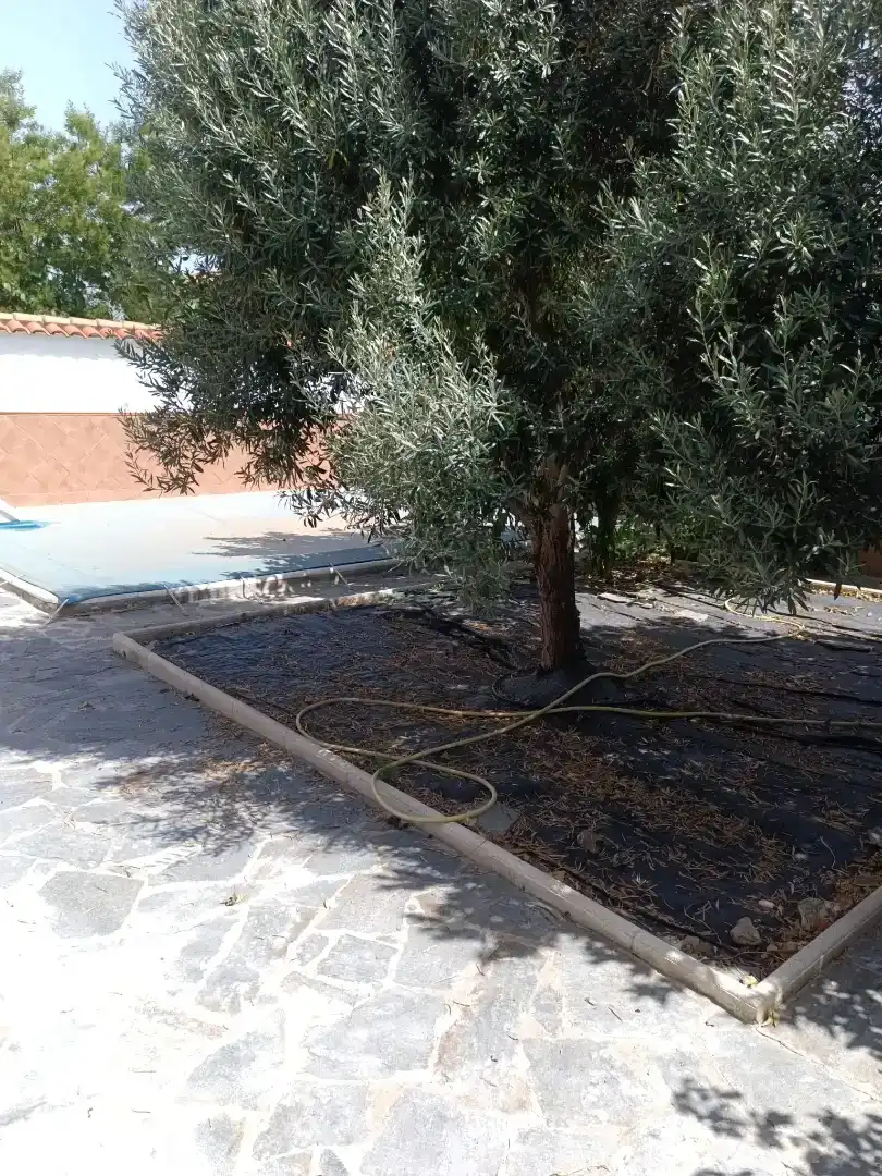 Jardí de Casa adosada en venda en Torrecampo amb Aire condicionat, Piscina i Moblat