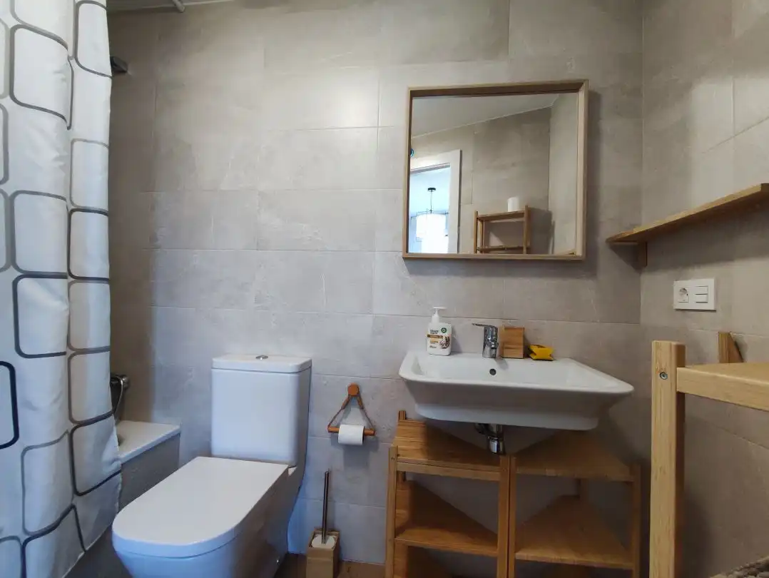 Flat for rent in Paseo casares, Altza