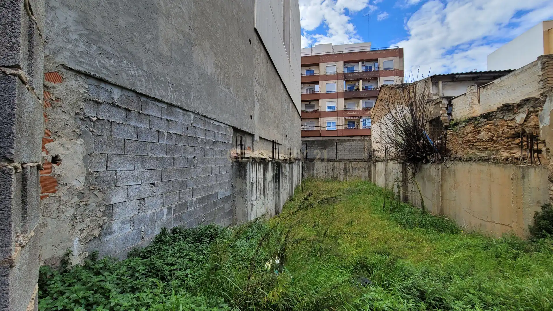 Terrain rustique à vendre à Carrer d'Evaristo Bas, 6, Valencia, Spain 6, imagen 3