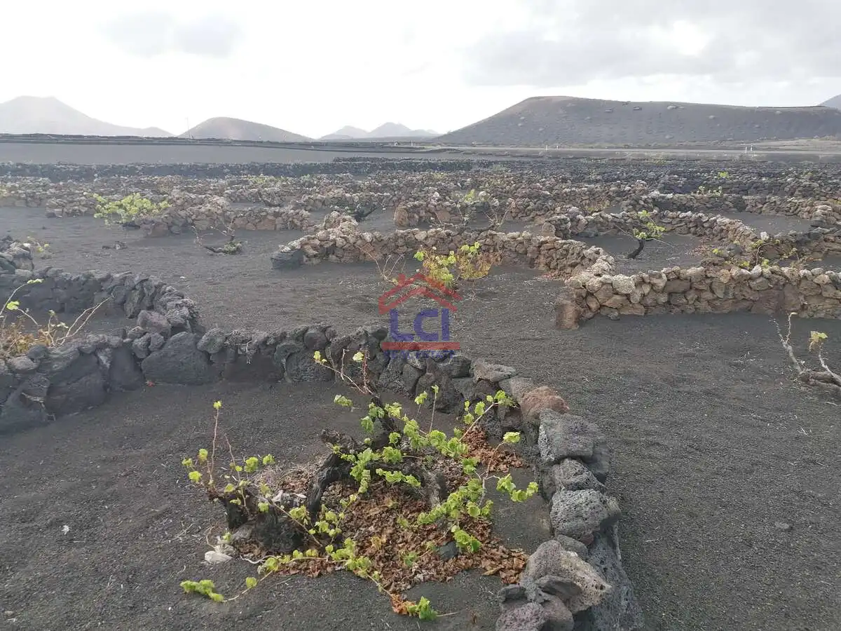 Terreno en venta en Yaiza