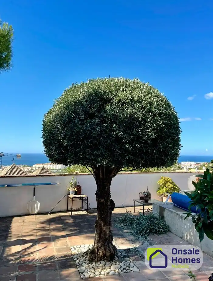 Casa o xalet en venda a Calle Fernando Alvarez Acosta, Huerta del Prado - La Montua