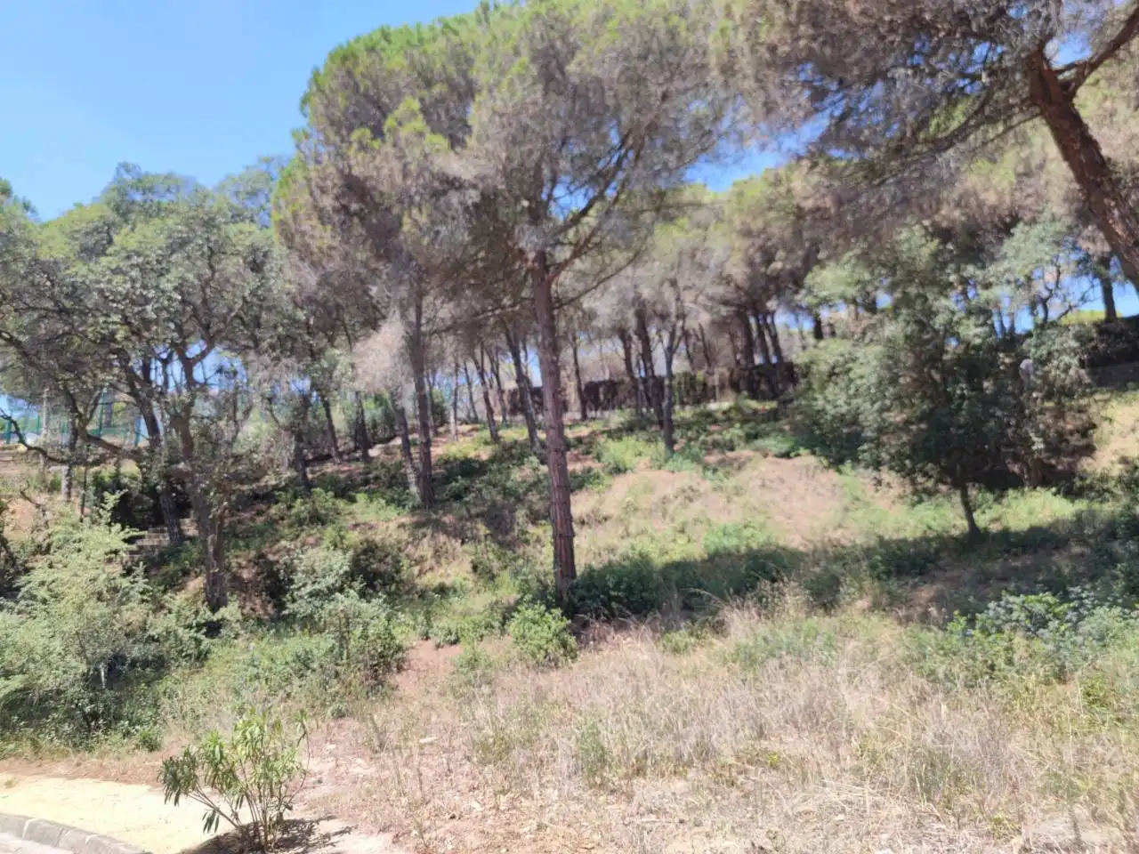 Terreno residencial en venta en Calle Tortuga 21, imagen 14