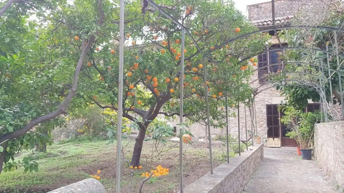 Houses for sale in Fornalutx