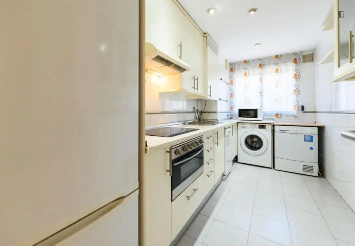 Kitchen of Apartments for rent in Madrid  with Air Conditioner, Heating and Furnished