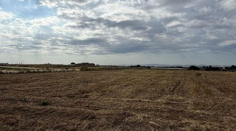 Foto 4 de Terreno en venta en Roldán, Torre-Pacheco