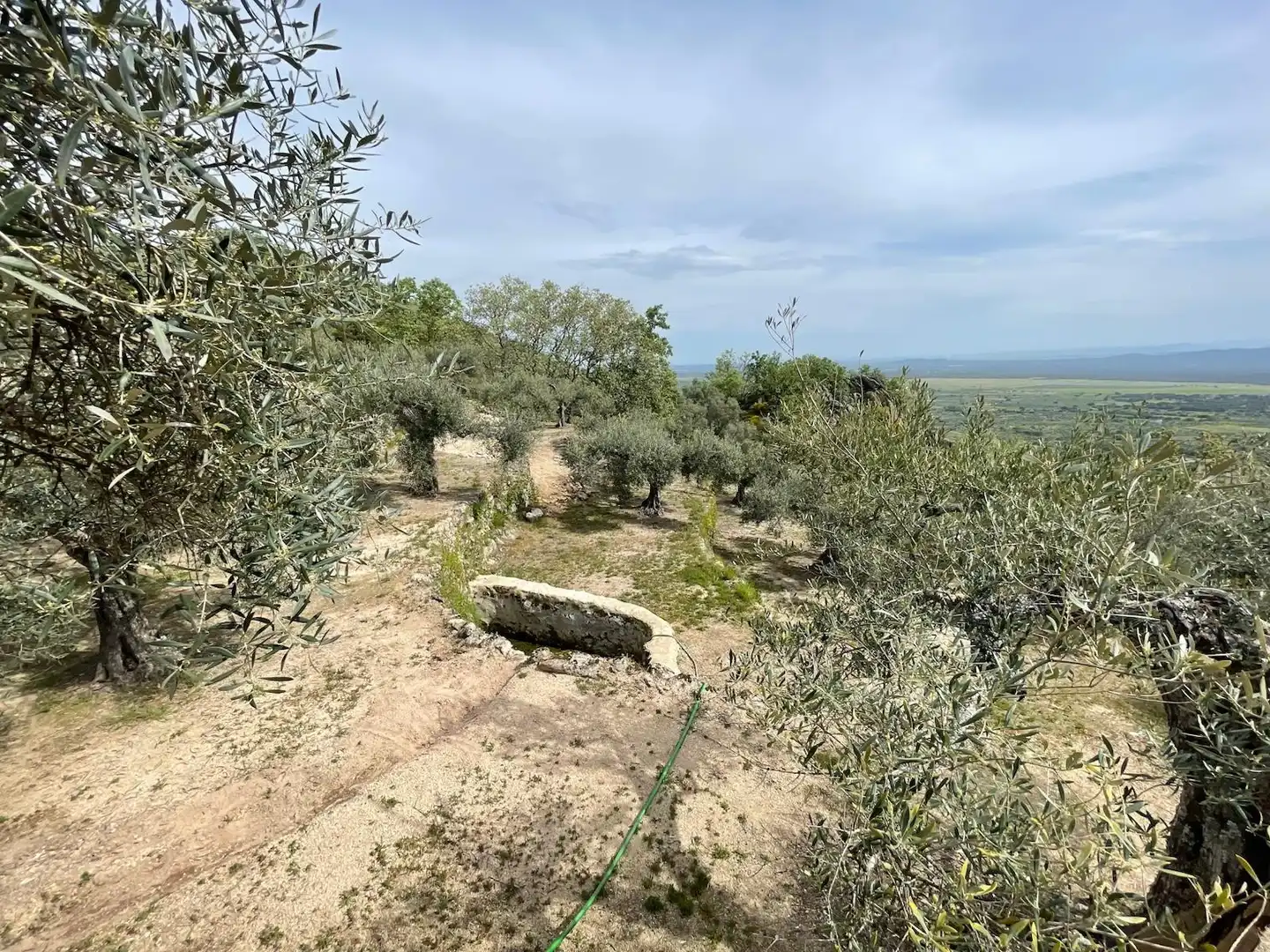 Terreni e lotti in vendita a Montánchez, imagen 26
