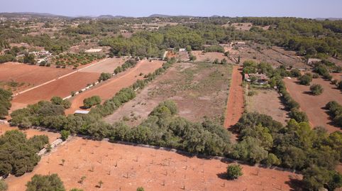 Terreno en venta de 22.000 m2 en Algaida, immagine 2