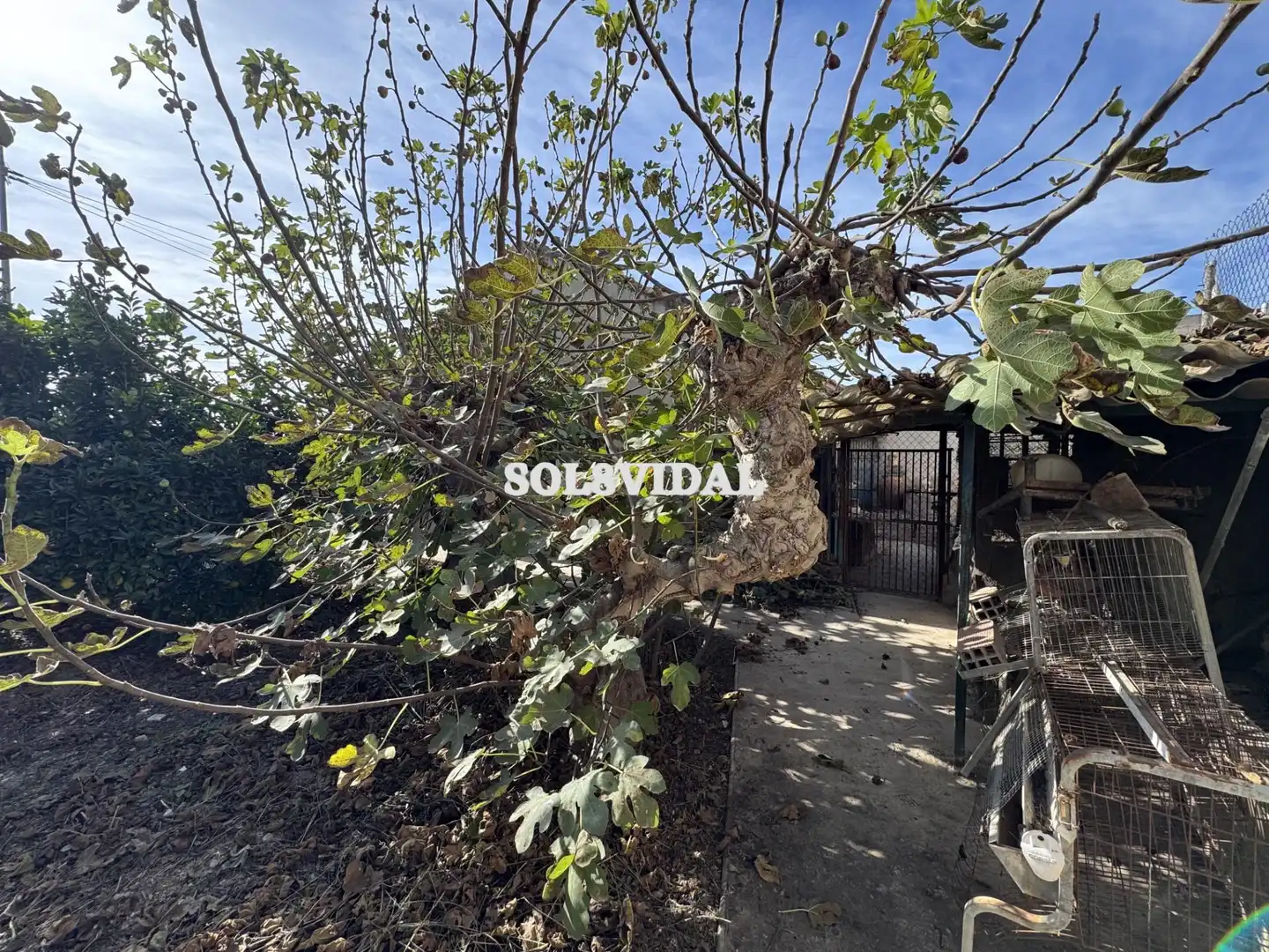 Casa o chalet en venta en Orihuela ciudad