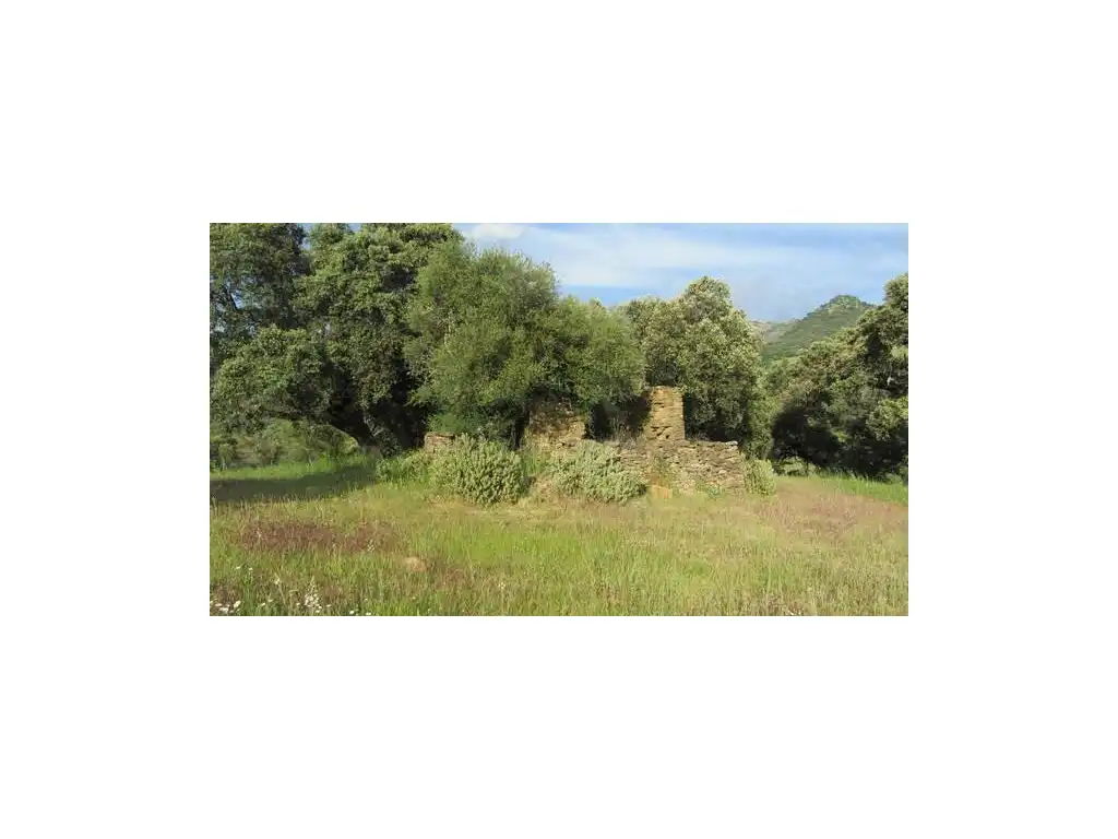 House for sale in Gaucín, imagen 4