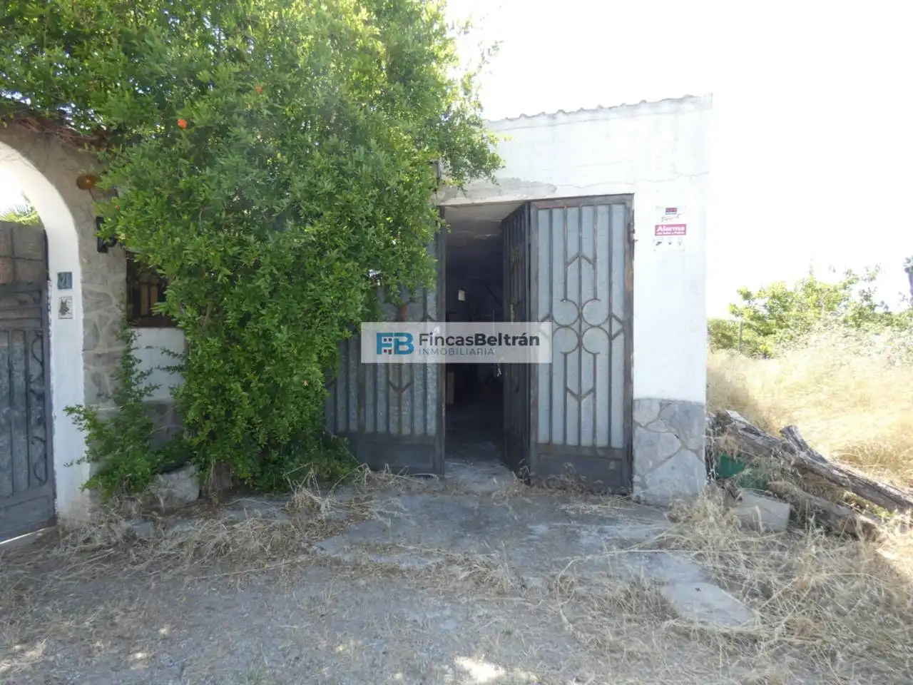 Vista exterior de Finca rústica en venda en Benicarló amb Jardí privat i Terrassa