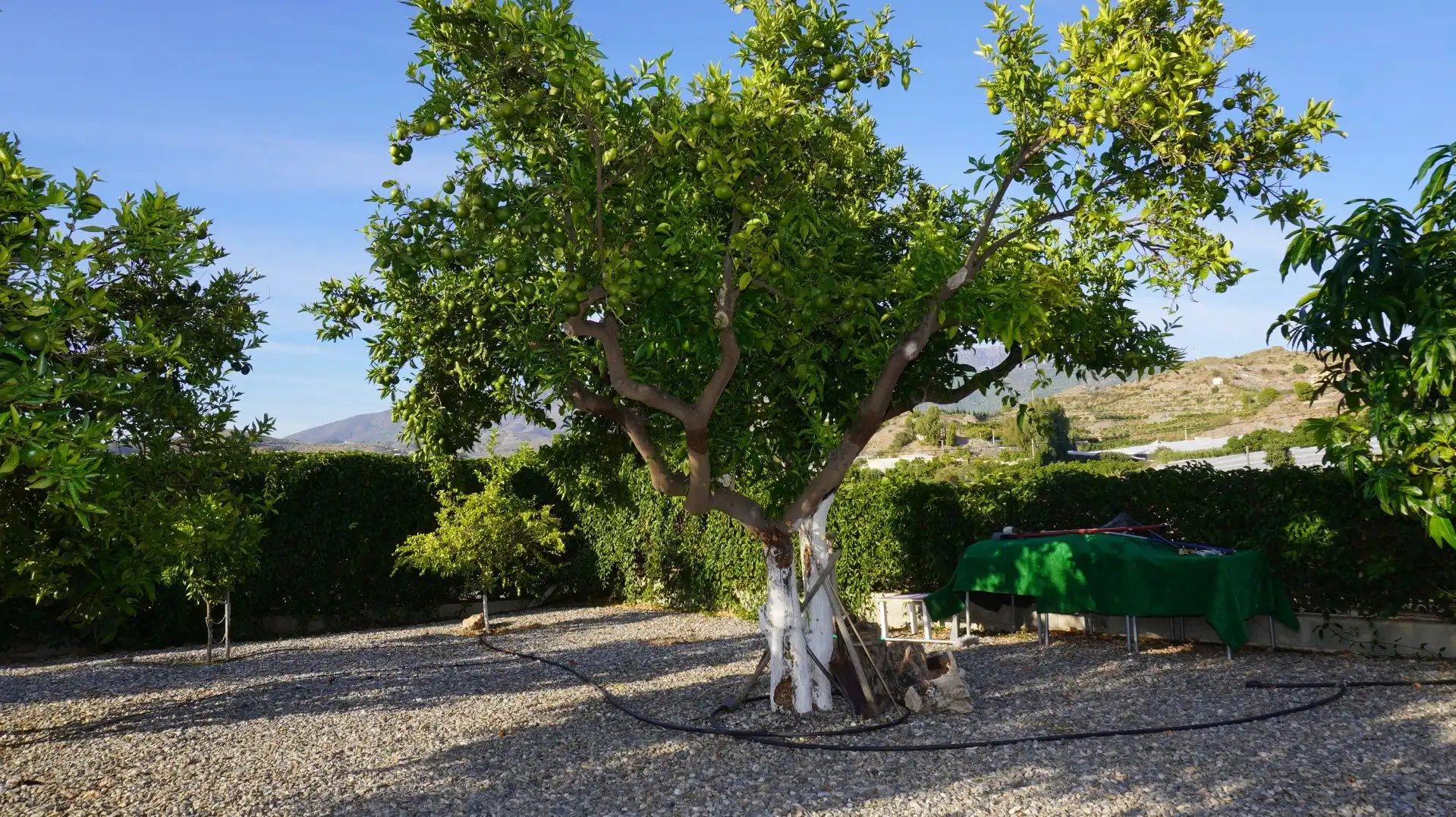 Jardí de Finca rústica en venda en Motril amb Aire condicionat, Terrassa i Traster