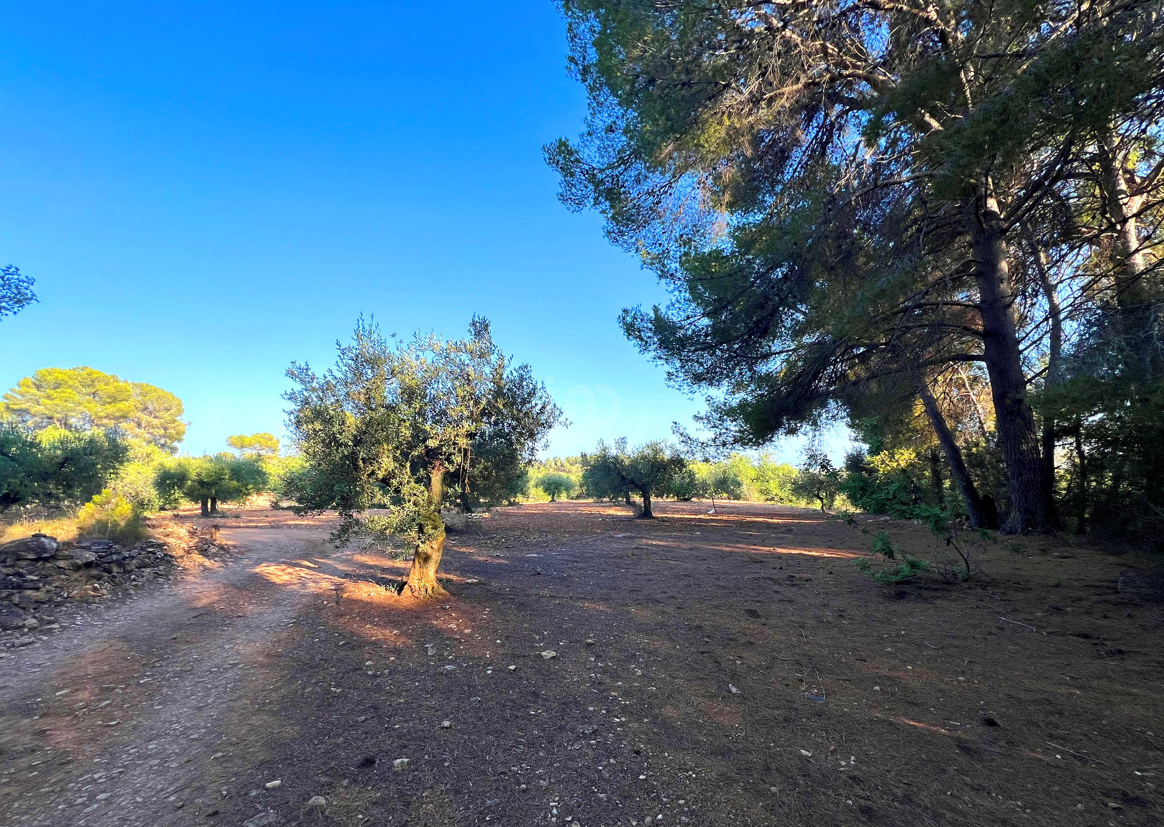 Residential for sale in Vallmoll