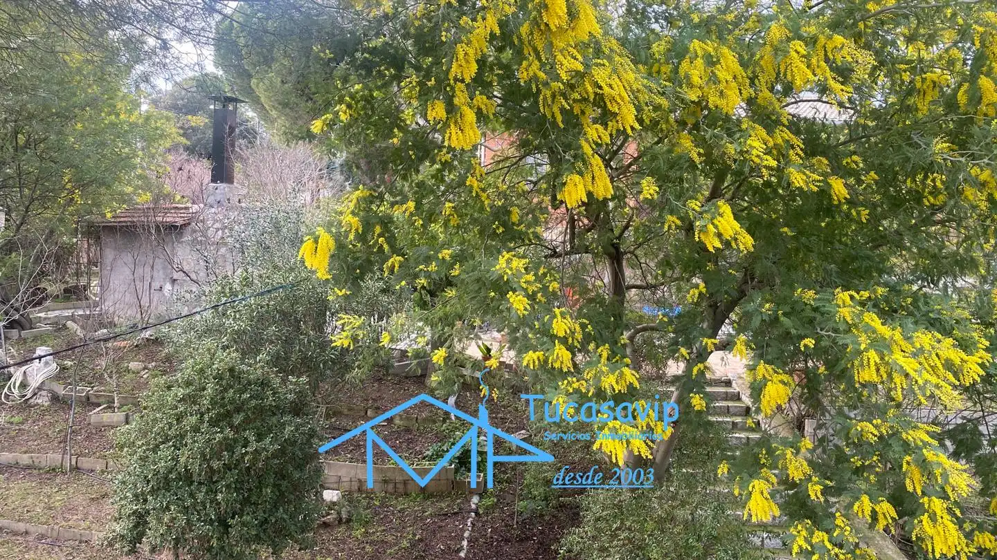 Casa con piscina in vendita a El Tiemblo, imagen 37