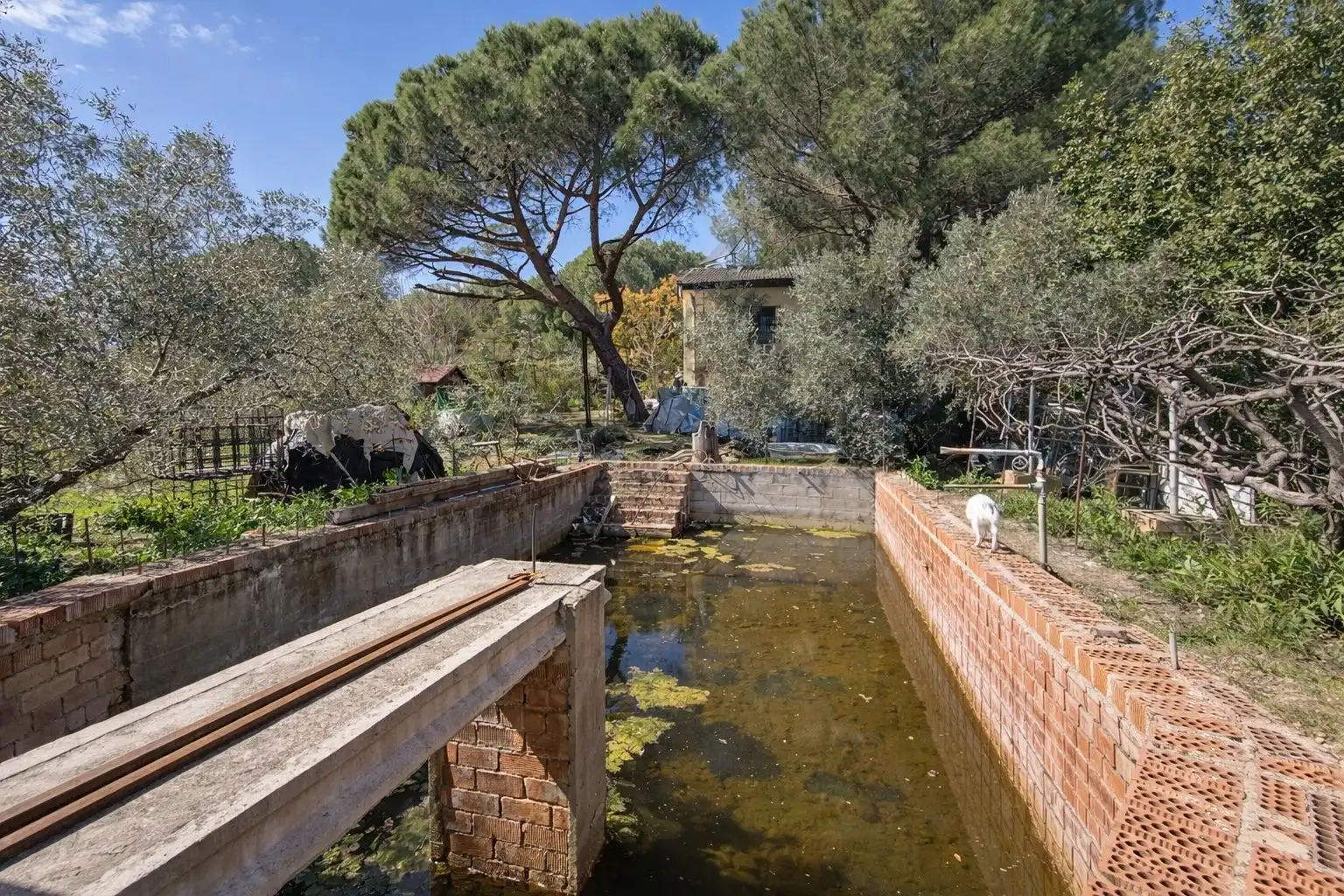 Jardí de Finca rústica en venda en Andújar amb Jardí privat i Terrassa