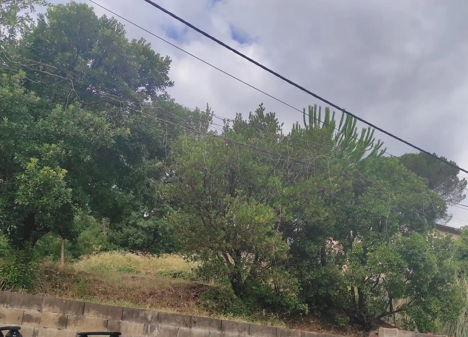 Residential for sale in Riells i Viabrea