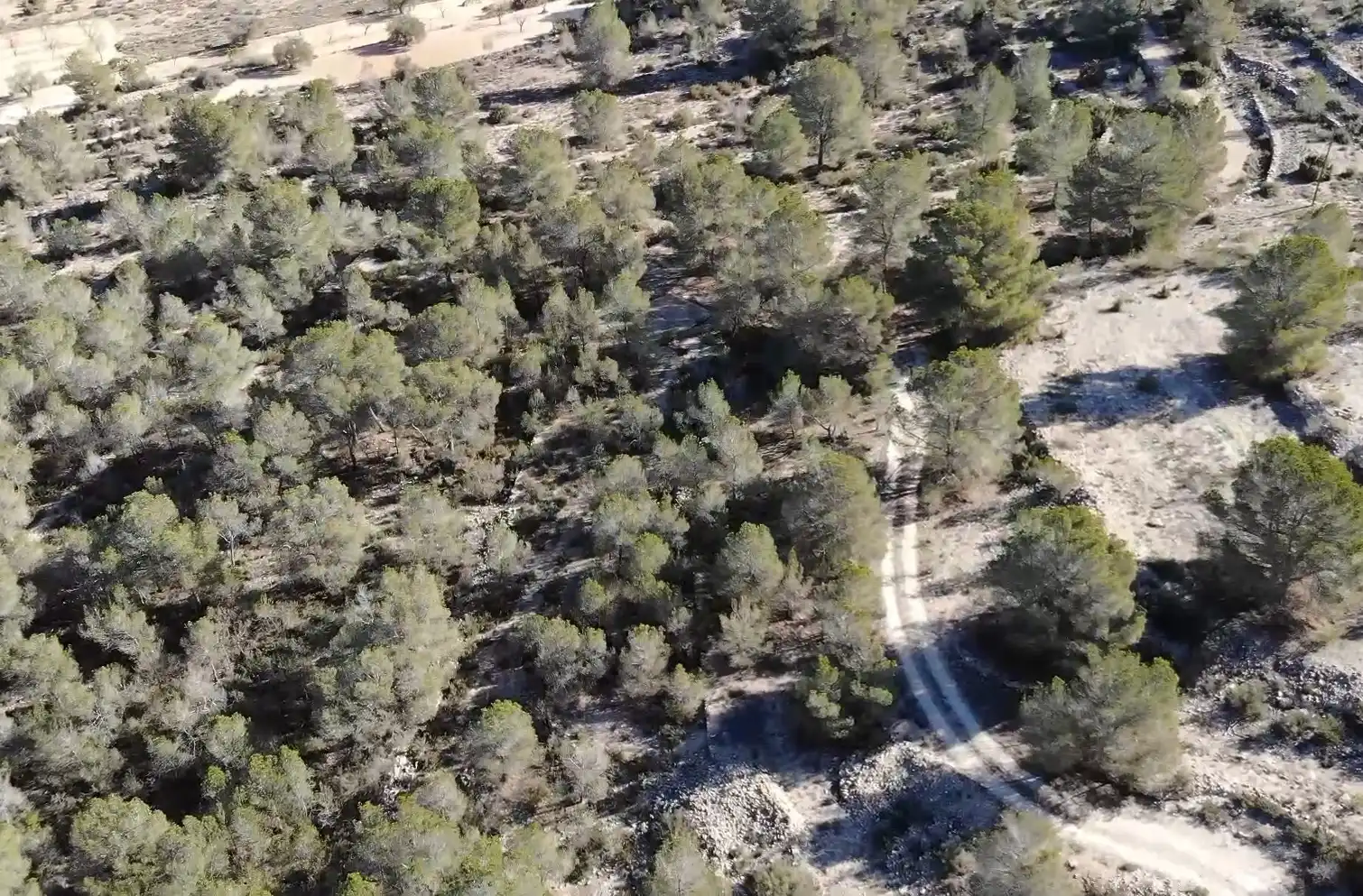 Rural land for sale in CV-83 32H, imagen 4