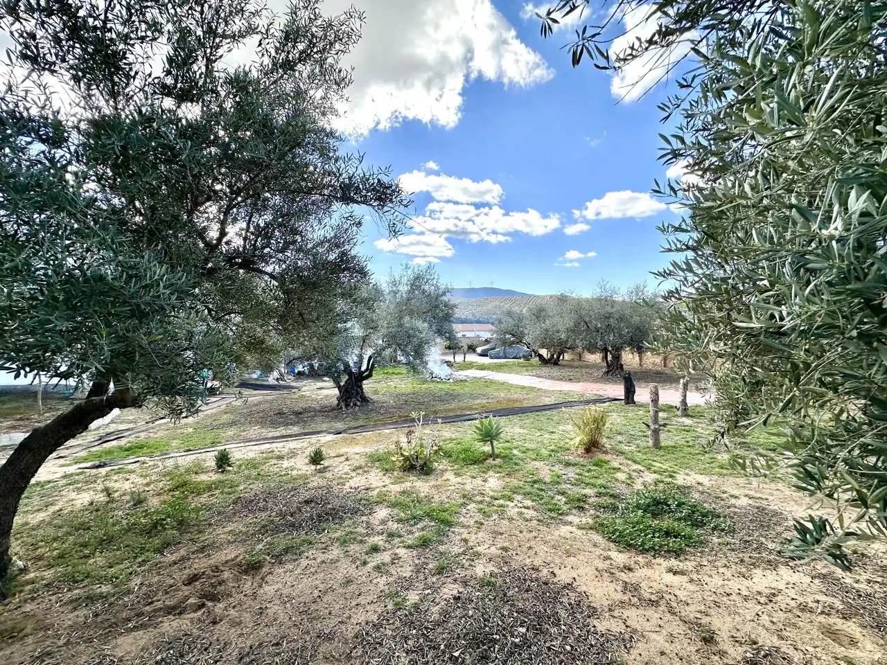 Casa amb jardí en venda a Villanueva de Algaidas, imagen 40