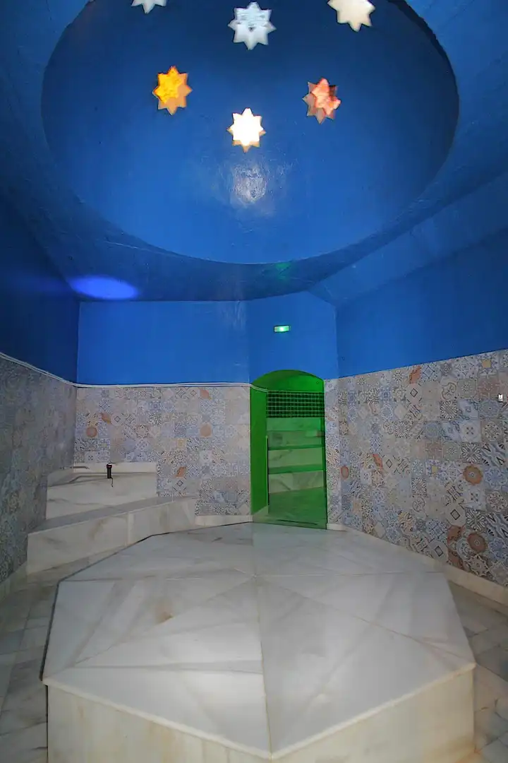 Inmuebles singulares en venta en Centro, imagen 58