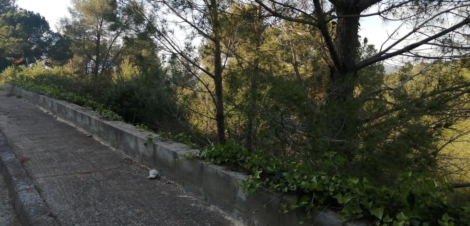 Terreno rustico in vendita a Piera, imagen 2