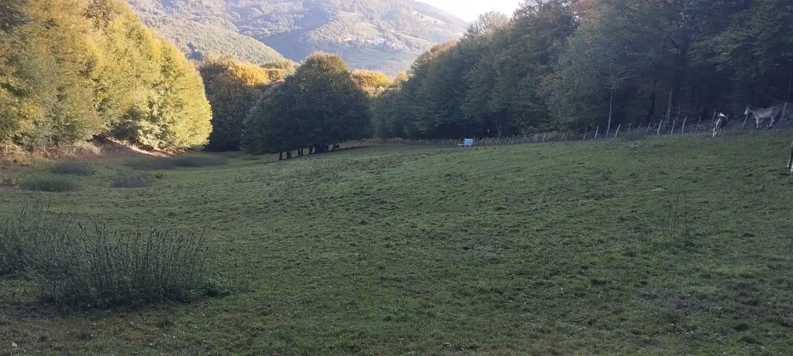 Terreno en venta en Basaburua, Navarra