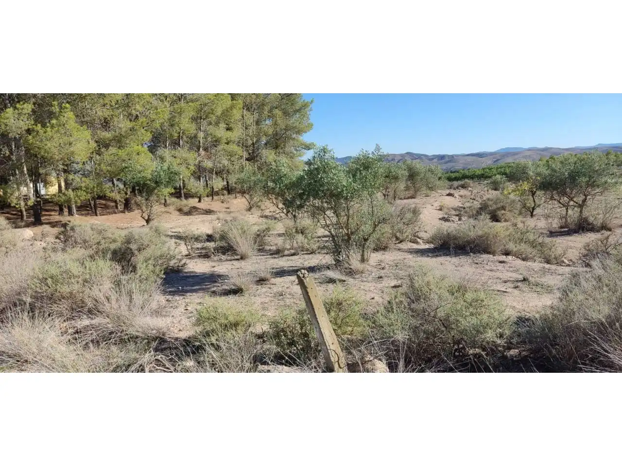 Terrenos y solares en venta en Hellín, imagen 2