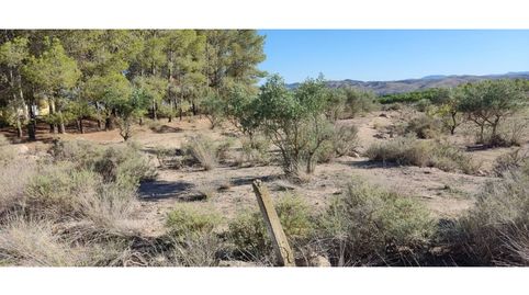 Terreno en venta en Isso, imagen 2