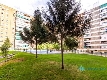 Pis amb piscina en venda a Calle Cisneros