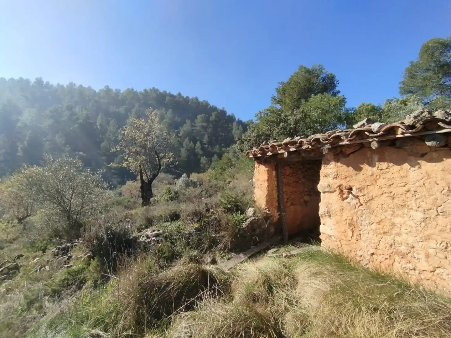 Terreni e lotti in vendita a Beceite
