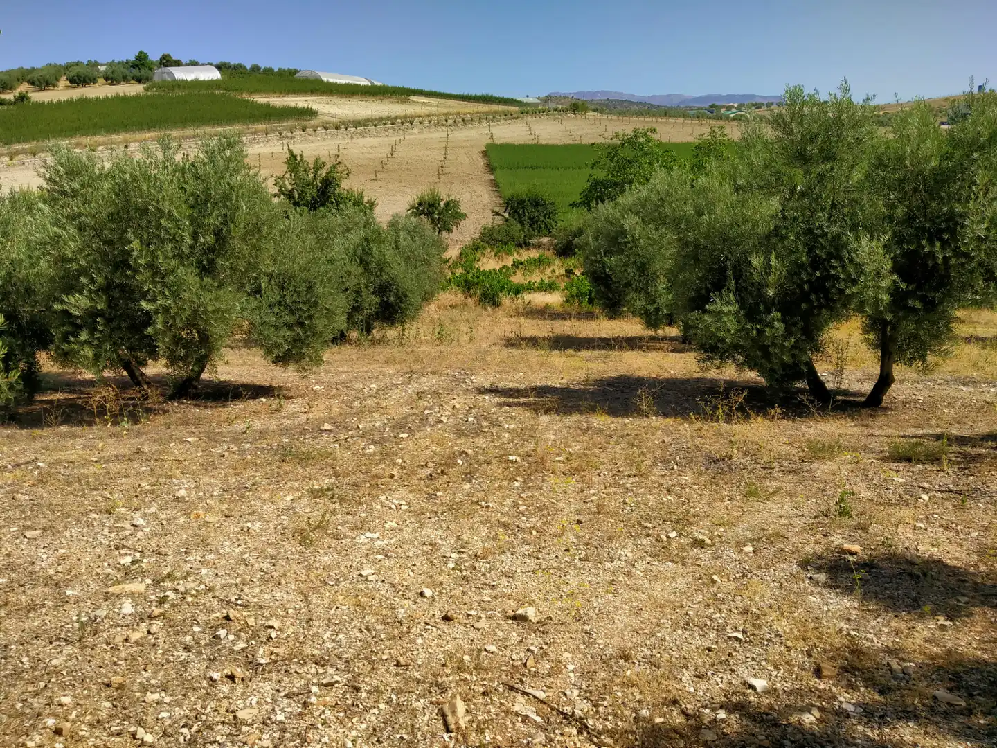 Rural land for sale in Calle Medina del Campo, imagen 19