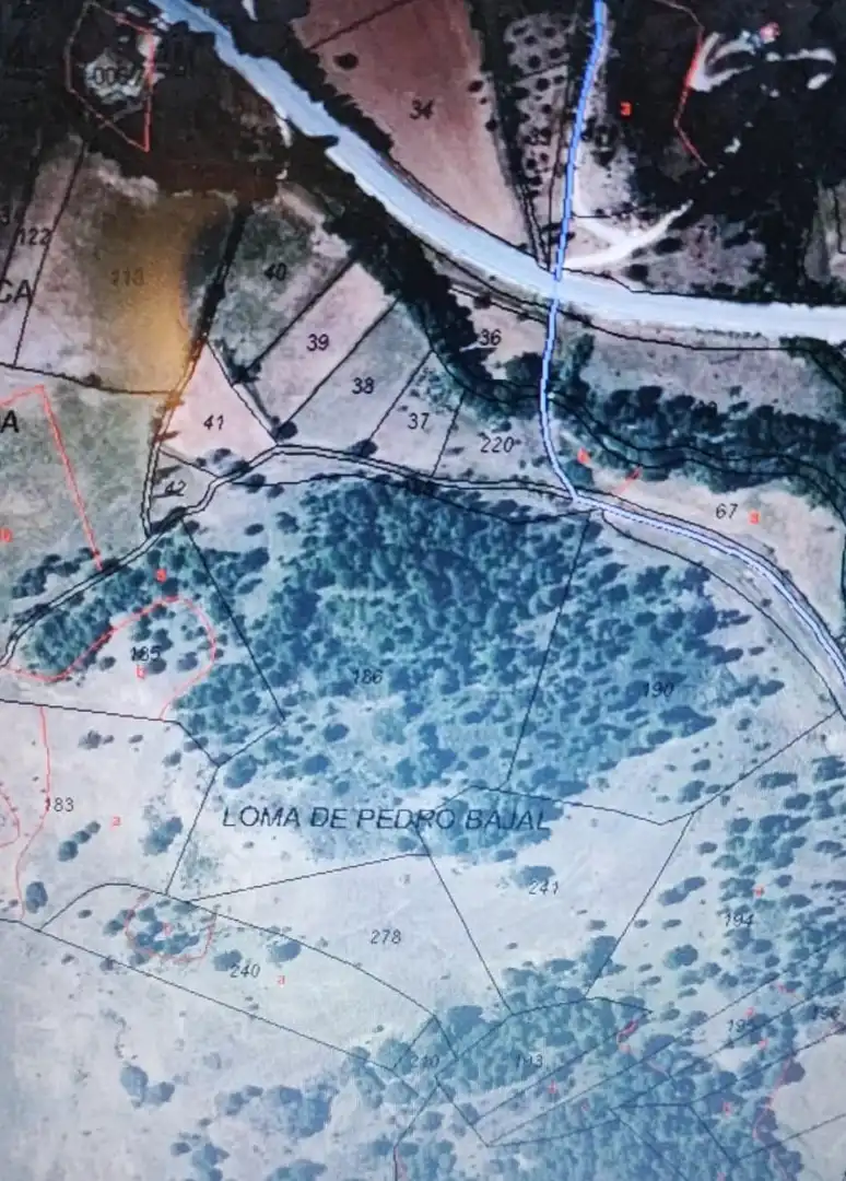 Rustikales Grundstück zum Verkauf in Riópar, imagen 4