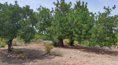 Foto 3 de Residencial en venta en Poligono N-30.r, 106, -1, La Conarda - Montesano, Valencia