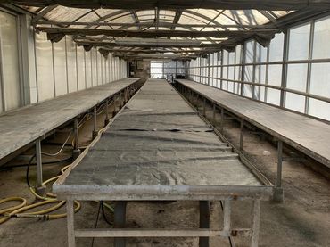 Nave industrial en venta en Avenida MADRID DE