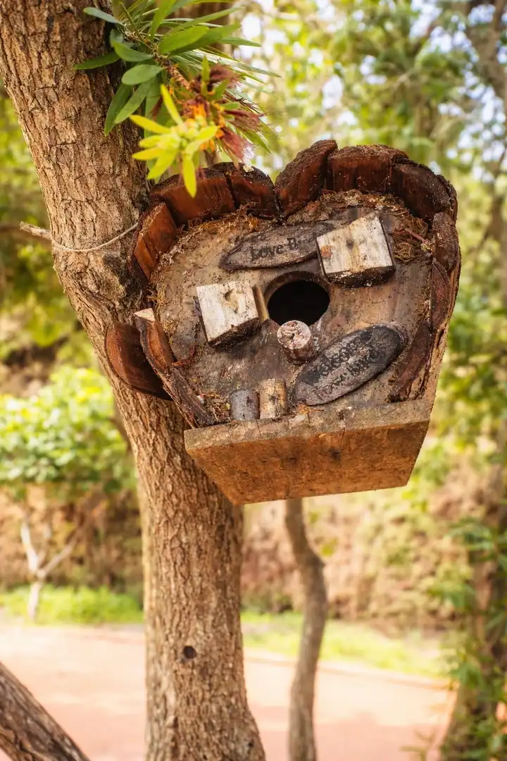 Vista exterior de Finca rústica en venta en Coín con Jardín privado, Terraza y Trastero