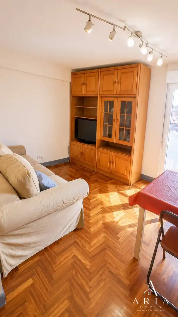 Sala d'estar de Apartament de lloguer en Bilbao  amb Calefacció i Balcó