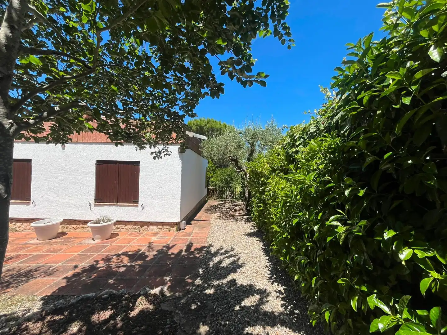 Jardí de Casa o xalet de lloguer en Gelida amb Jardí privat, Traster i Piscina