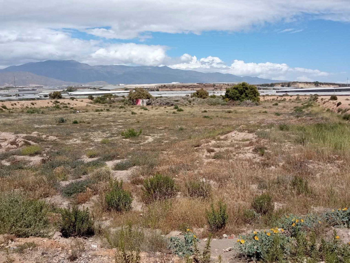 Residencial en venda en El Ejido