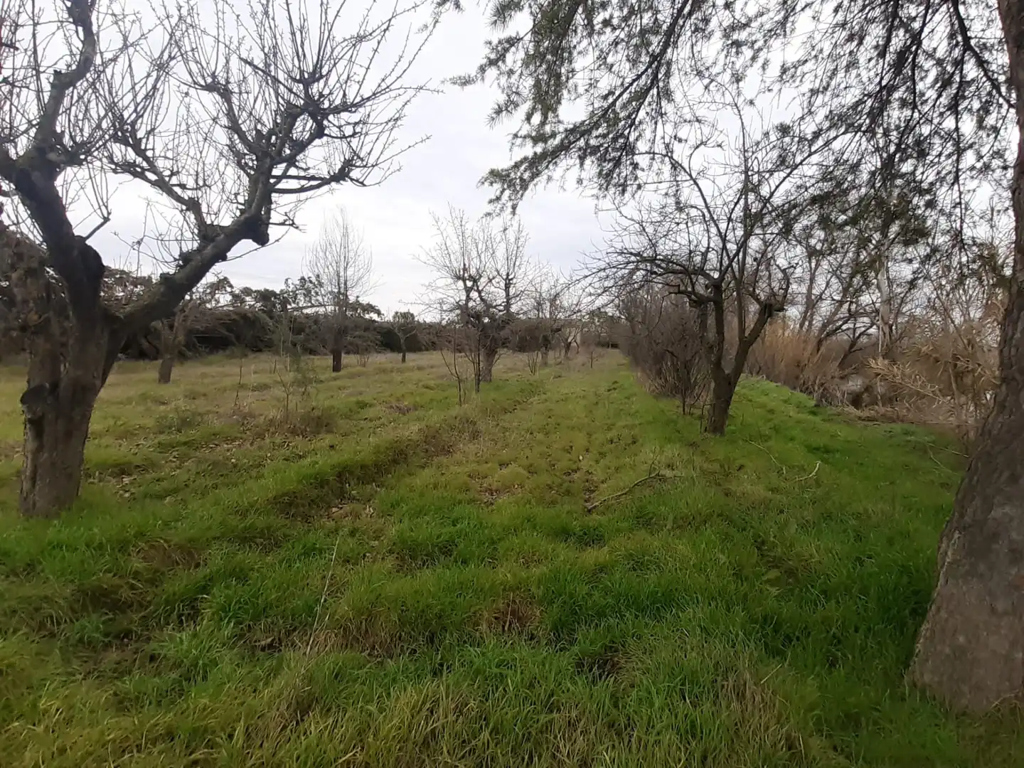 Terreni e lotti in vendita a Fresno de la Ribera, imagen 7