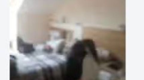 Photo 5 of Flat for sale in Lugar Lestedo, Boqueixón, A Coruña