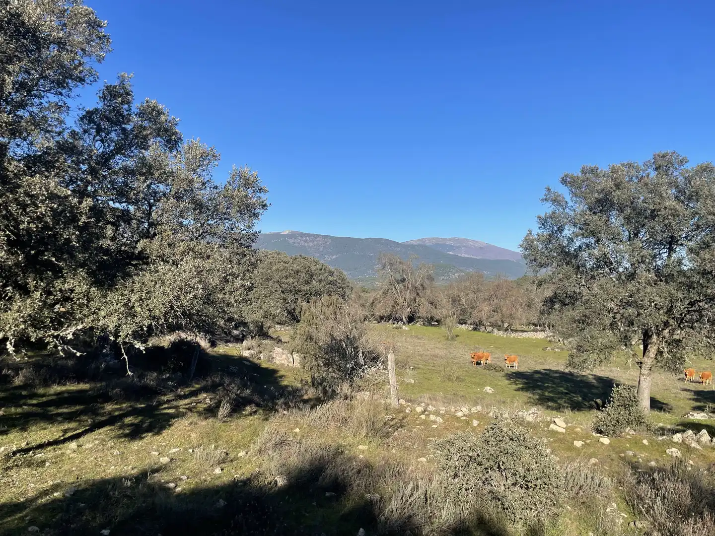 Terreni e lotti in vendita a Fresnedilla, imagen 25