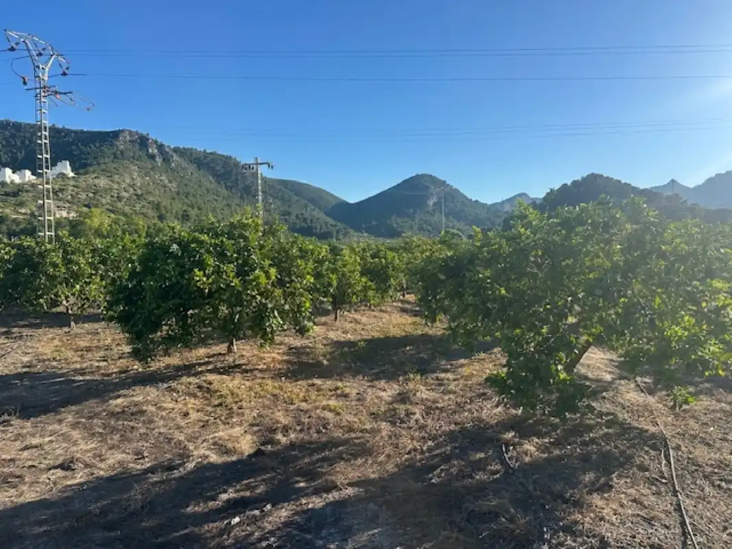 Terreno en venta en Xeresa